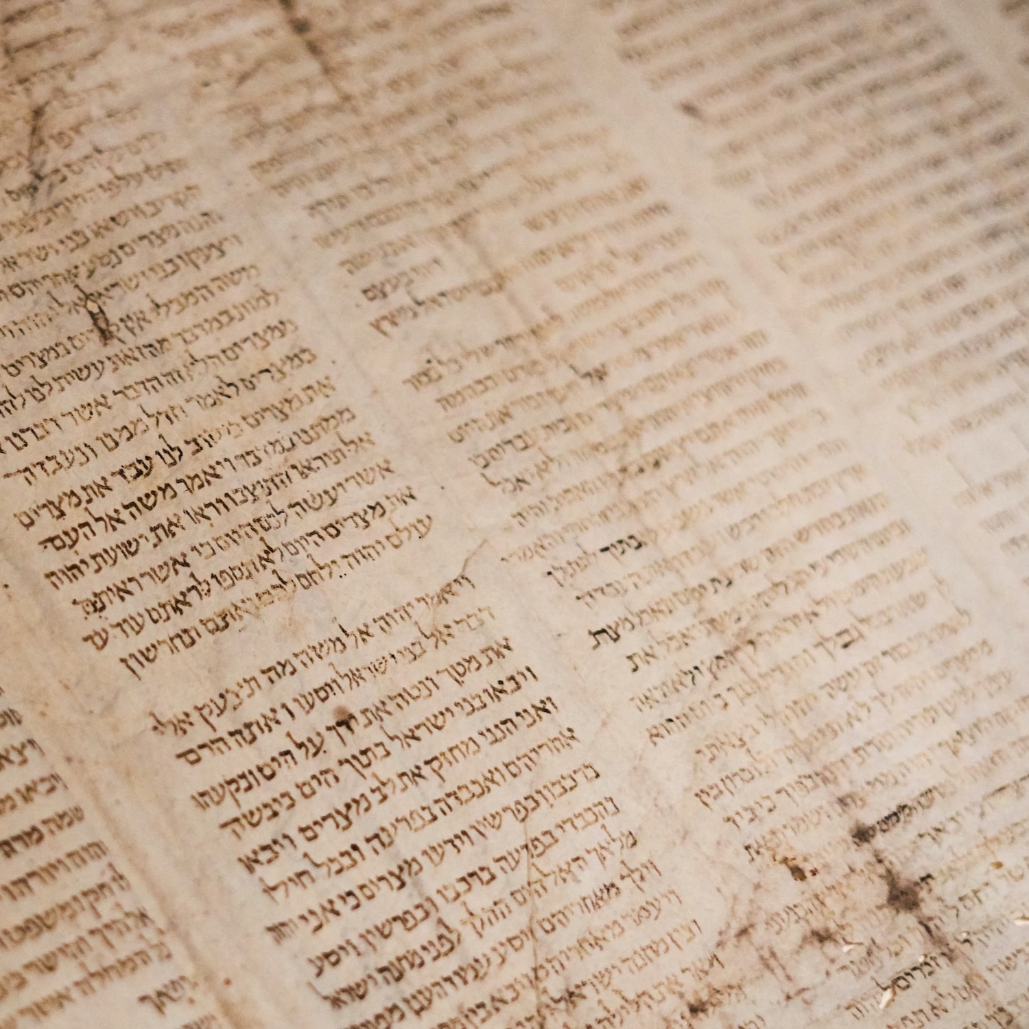 grace-equip-all-courses